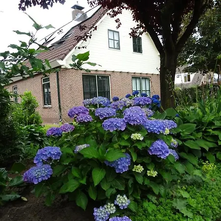 Bed & Breakfast De Vrijheid 4*