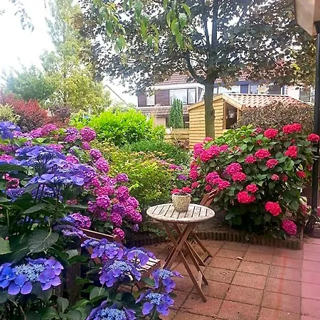 Bed & Breakfast De Vrijheid 4*