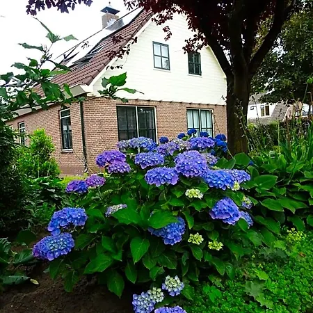 De Vrijheid 4* Ede