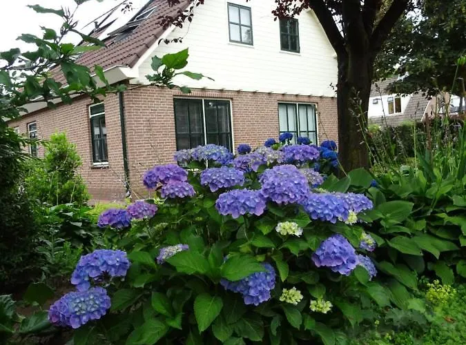 Bed & Breakfast De Vrijheid 3*